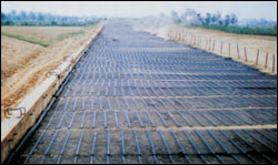 泰安钢塑土工格栅今日价格走势 批发起价 钢塑土工格栅超