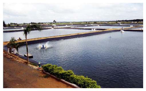 水产养殖膜便宜厂家 养殖膜多少钱一平米 3元批发供应商 全新更