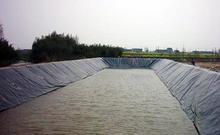 山东土工膜 山东土工膜制造商 山东土工膜*好企业 防渗膜针对