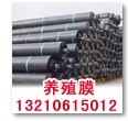 山东0.35养殖膜0.5藕池防渗膜全新行情价格批发价格3元